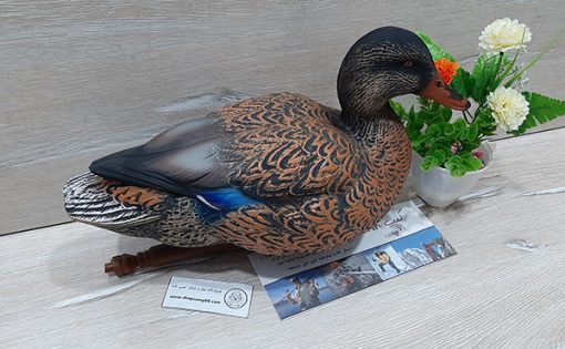 ماکت اردک ماده