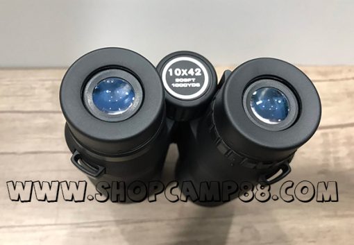Asika 10x42 a 5