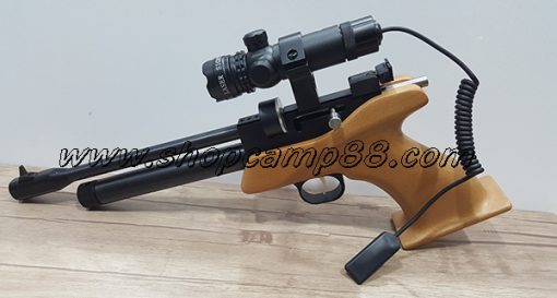Cp1 Laser 7