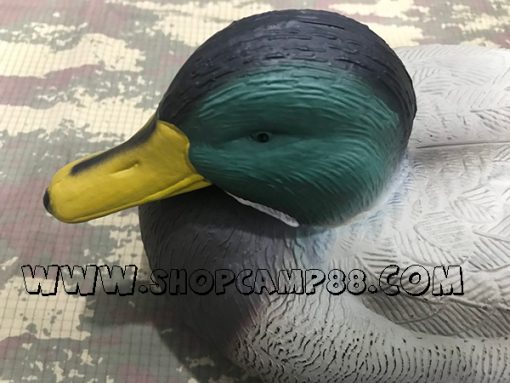 Duck 3