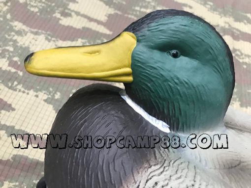Duck 4