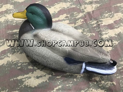 Duck 5