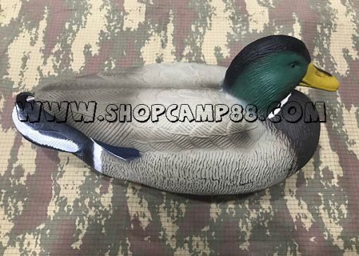 Duck 7