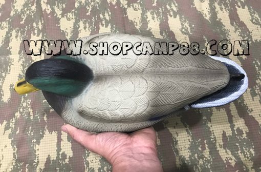 Duck 8