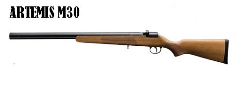 artemis spa m30 pcp 1