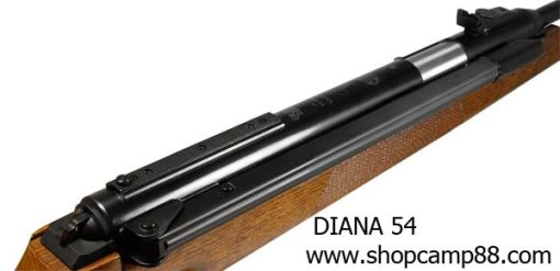 diana 54 5