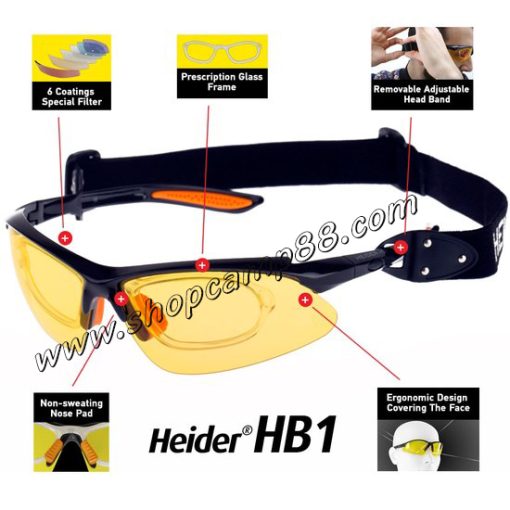 heider glsses 12