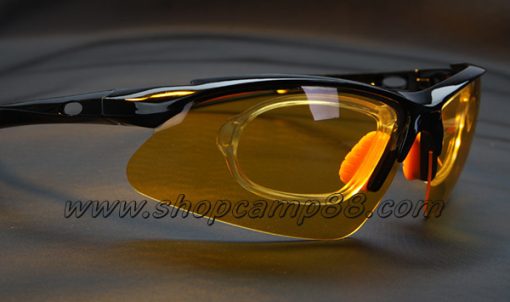 heider glsses 14