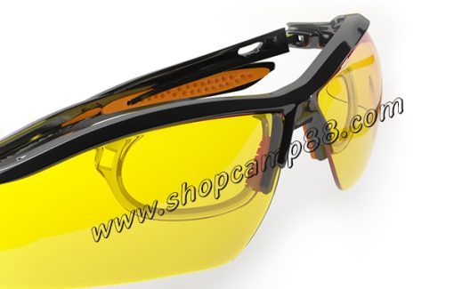 heider glsses 19