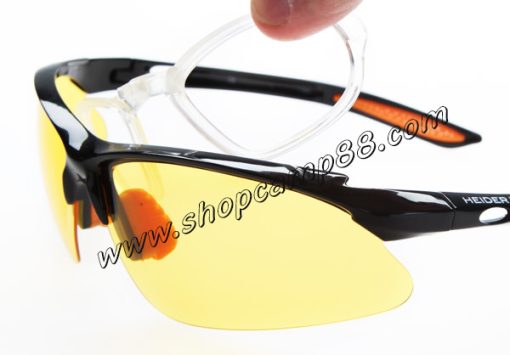 heider glsses 3