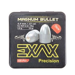 magnum bullet 1