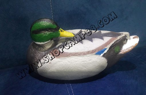 maket morgabi sabz 3