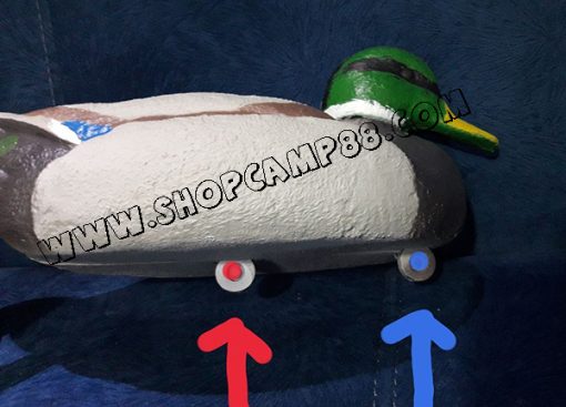 maket morgabi sabz 5