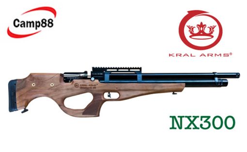 nX300