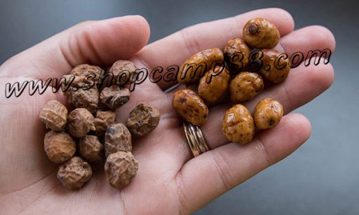 Tigernuts Premium 4 1