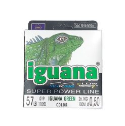 iguana