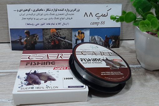 ماهیگیری carp