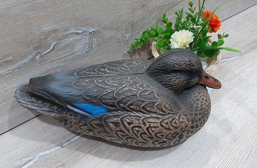 ماکت مرغابی ماده 1