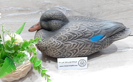 ماکت مرغابی ماده 5