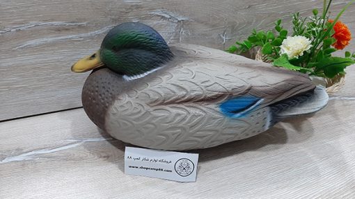 ماکت مرغابی کله سبز 1