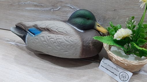 ماکت مرغابی کله سبز 2