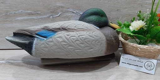 ماکت مرغابی کله سبز 4