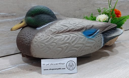 ماکت مرغابی کله سبز 5